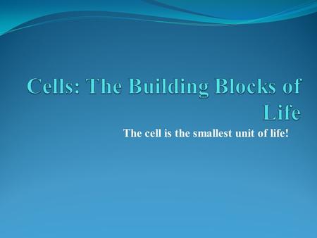 The cell is the smallest unit of life!. The Cell Theory 1. All living things are composed of one or more cells. 2. Cells are organisms’ basic units of.