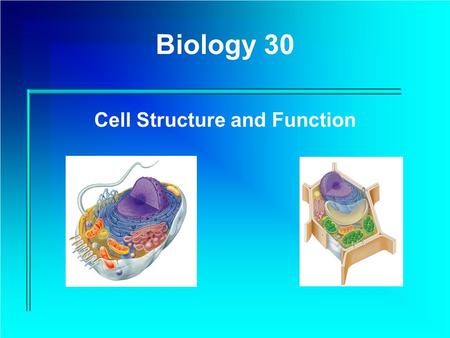 Biology 30 Cell Structure and Function Unit 1 – Cell Structure and Function In this unit you will learn about the organelles that compose cells, understand.