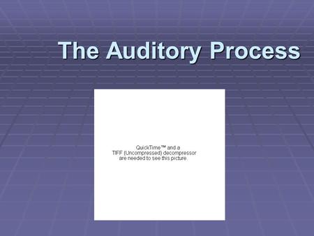 The Auditory Process. Stimulus  Distal Stimulus- in our environment produces a proximal stimulus  Proximal Stimulus- form of sound waves reaching the.