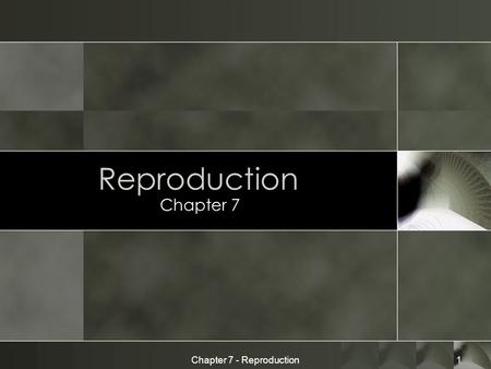 Chapter 7 - Reproduction1 Reproduction Chapter 7.