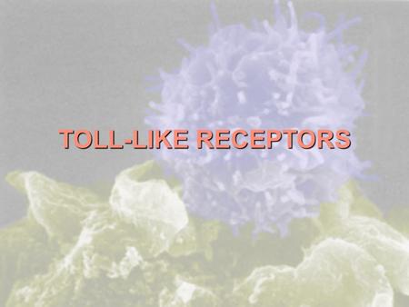 TOLL-LIKE RECEPTORS.