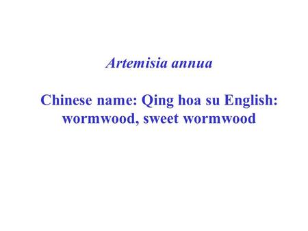 Chinese name: Qing hoa su English: wormwood, sweet wormwood