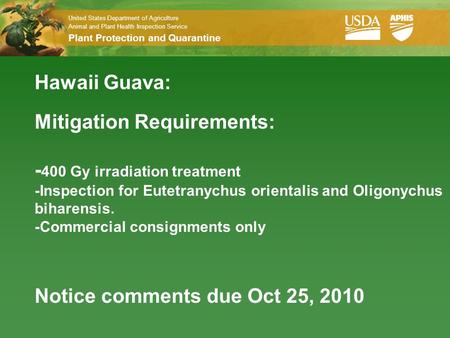 United States Department of Agriculture Animal and Plant Health Inspection Service Plant Protection and Quarantine United States Department of Agriculture.