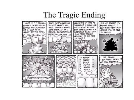 The Tragic Ending. Cell Division in Eukaryotes As you are sitting in class now, your cells are growing, dividing and dying. Cuts and bruises are healing.