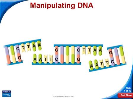 End Show Slide 1 of 32 Copyright Pearson Prentice Hall Manipulating DNA.