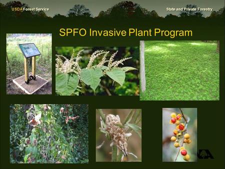 USDA Forest Service State and Private Forestry SPFO Invasive Plant Program.