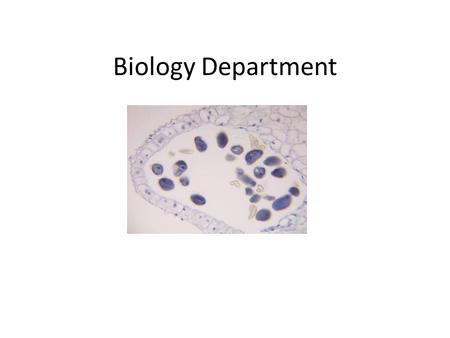 Biology Department. Hardware and Software Virtual Lab for Students Summary Safety Accessibility Resources.