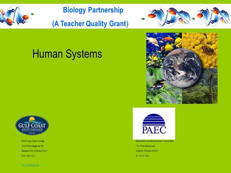 Human Systems Gulf Coast State CollegePanhandle Area Educational Consortium 5230 West Highway 98753 West Boulevard Panama City, Florida 32401Chipley, Florida.