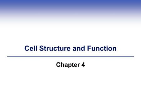 Cell Structure and Function