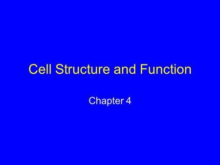 Cell Structure and Function Chapter 4. Mid 1600s - Robert Hooke observed and described cells in cork Late 1600s - Antony van Leeuwenhoek observed sperm,