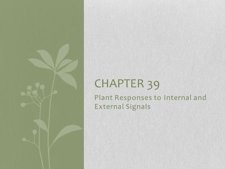 Plant Responses to Internal and External Signals CHAPTER 39.