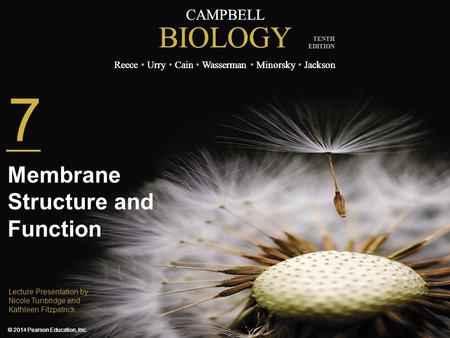 Membrane Structure and Function