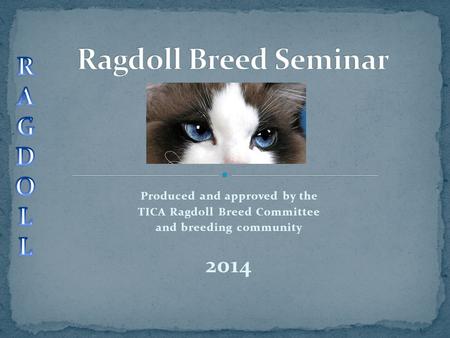 Produced and approved by the TICA Ragdoll Breed Committee and breeding community 2014.