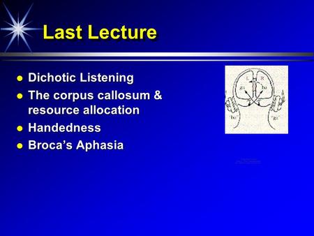 Last Lecture Dichotic Listening Dichotic Listening The corpus callosum & resource allocation The corpus callosum & resource allocation Handedness Handedness.