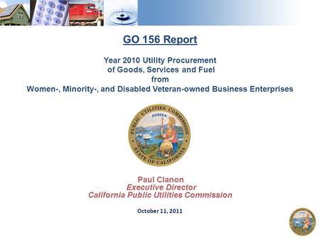 1 GO 156 Report Year 2010 Utility Procurement of Goods, Services and Fuel from Women-, Minority-, and Disabled Veteran-owned Business Enterprises Paul.