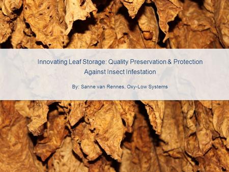 Innovating Leaf Storage: Quality Preservation & Protection