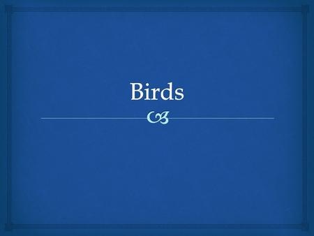   Perches  Material  Commercial wood  Mold/pesticide free natural limbs  Plastic can be uncomfortable  If birds refuse to perch on plastic replace.