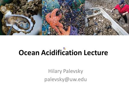 Ocean Acidification Lecture