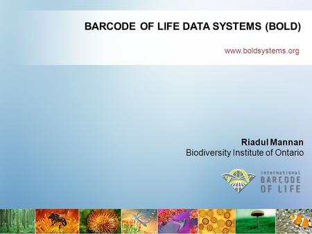 Www.boldsystems.org BARCODE OF LIFE DATA SYSTEMS (BOLD) Riadul Mannan Biodiversity Institute of Ontario.