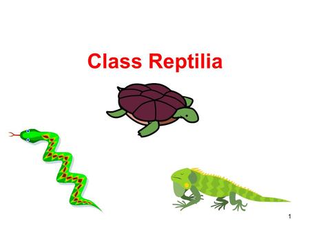 Class Reptilia 1.