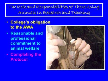 The Role and Responsibilities of Those Using Animals in Research and Teaching College’s obligation to the AWA Reasonable and professional commitment to.