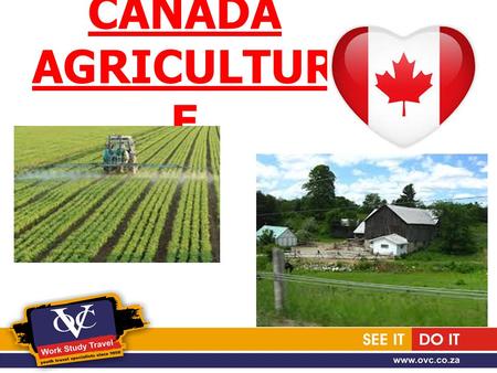 CANADA AGRICULTUR E. * The placements that we have open are for large crop farms, some mixed beef and crop farms, so some equipment experience is a.