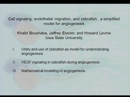 I.Utility and use of zebrafish as model for understanding angiogenesis. II.VEGF signaling in zebrafish during angiogenesis. III.Mathematical modeling of.