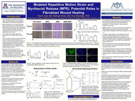 Modeled Repetitive Motion Strain and Myofascial Release (MFR): Potential Roles in Fibroblast Wound Healing Thanh Cao, BA; Michael Hicks, BS; Paul Standley,