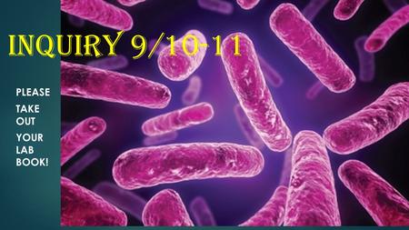 Inquiry 9/10-11 PLEASE TAKE OUT YOUR LAB BOOK!. Warm-Up 9/10 and 9/11  Complete the self-assessment you picked up on the way in!  Keep it because we.