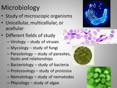 Microbiology Study of microscopic organisms Unicellular, multicellular, or acellular Different fields of study – Virology – study of viruses – Mycology.