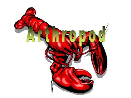 Arthropod.