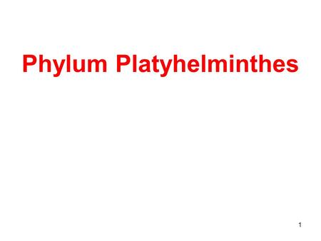 1 Phylum Platyhelminthes. 2 Flatworms Triploblastic Acoelomate Bilateral symmetry Hermaphroditic (Most) –Monoecious One opening for digestive system -