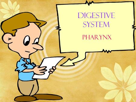 Digestive System Pharynx.