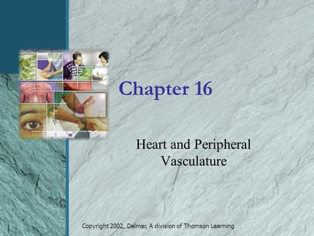 Copyright 2002, Delmar, A division of Thomson Learning Chapter 16 Heart and Peripheral Vasculature.