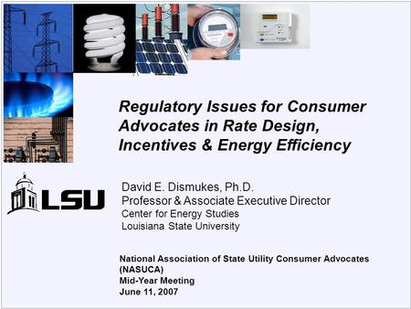 Center for Energy Studies National Association of State Utility Consumer Advocates (NASUCA) Mid-Year Meeting June 11, 2007 Regulatory Issues for Consumer.