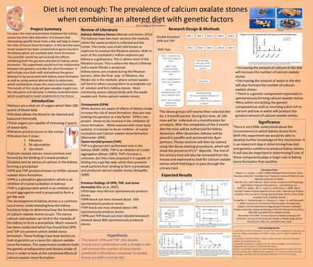 Diet is not enough: The prevalence of calcium oxalate stones when combining an altered diet with genetic factors Introduction Kidneys are a vital set of.