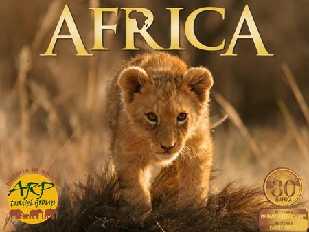 Excellence in Africa ARP Travel Group – Who we are International Sales & Marketing Headquarters DMC – Tanzania/Zanzibar DMC – Kenya.