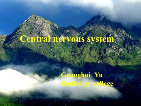 Central nervous system