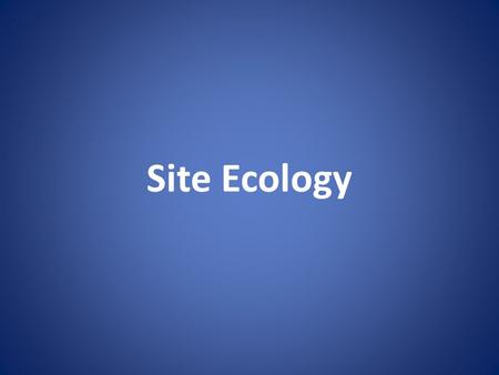 Site Ecology. The house is around lakefronts, canals, rail lines, and highways the Special No. 9 House was developed away from the heart of a city.