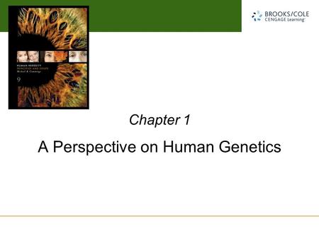 A Perspective on Human Genetics