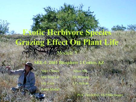 Exotic Herbivore Species Grazing Effect On Plant Life Module 5 SEE-U 2001 Biosphere 2 Center, AZ Adam Nix Eli Pristoop J.C. Sylvan Yuko Chitani Mei Ying.