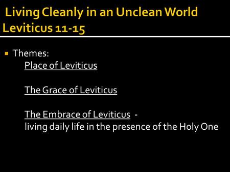  Themes: Place of Leviticus The Grace of Leviticus The Embrace of Leviticus - living daily life in the presence of the Holy One.