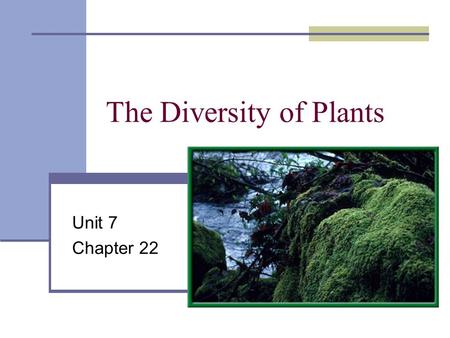 The Diversity of Plants