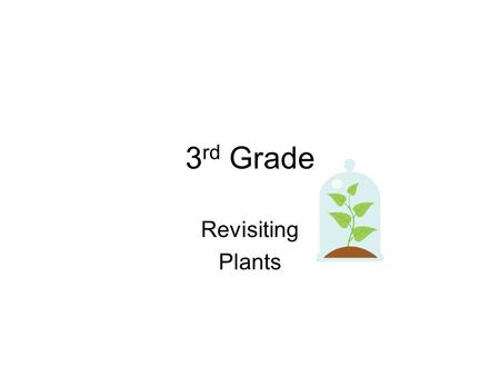 3 rd Grade Revisiting Plants. The student will: Build an understanding of plant growth and adaptations Observe and measure how the quantities and qualities.