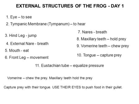 1. Eye – to see 2. Tympanic Membrane (Tympanum) – to hear 3. Hind Leg - jump 4. External Nare - breath 5. Mouth - eat 6. Front Leg – movement 7. Nares.