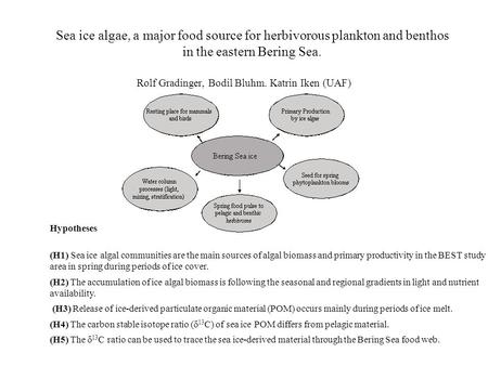 Sea ice algae, a major food source for herbivorous plankton and benthos in the eastern Bering Sea. Rolf Gradinger, Bodil Bluhm. Katrin Iken (UAF) Hypotheses.