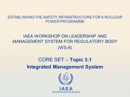 IAEA International Atomic Energy Agency ESTABLISHING THE SAFETY INFRASTRUCTURE FOR A NUCLEAR POWER PROGRAMME IAEA WORKSHOP ON LEADERSHIP AND MANAGEMENT.