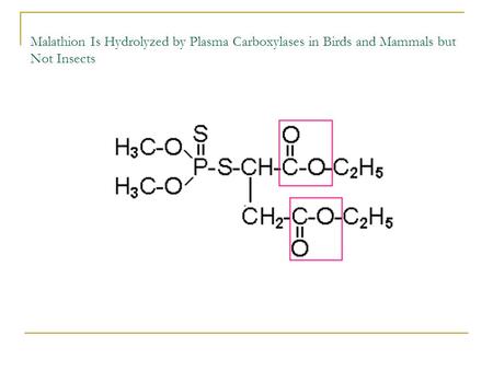 Malathion Is Hydrolyzed by Plasma Carboxylases in Birds and Mammals but Not Insects 1.