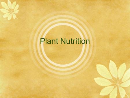 Plant Nutrition Nutritional needs  Why does grass grow greener where a dog pees?  Why don’t trees pee on dogs? NH 3 animal waste plant nutrient.