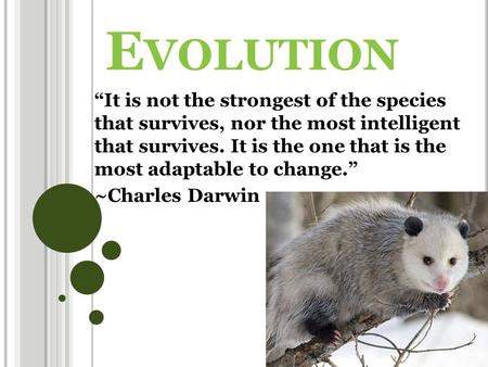 E VOLUTION “It is not the strongest of the species that survives, nor the most intelligent that survives. It is the one that is the most adaptable to change.”